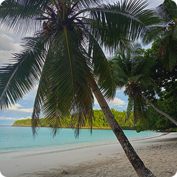 Plage Nosy Be - Madagascar
