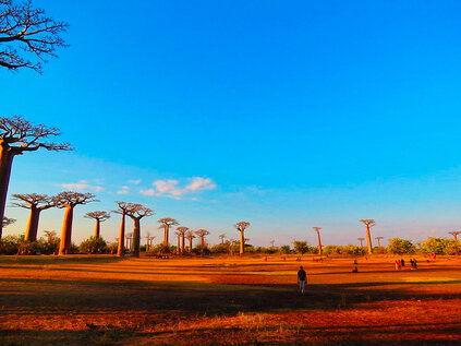 Morondava